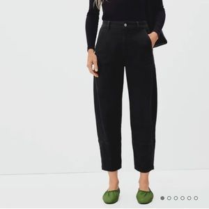 Everlane The Utility Barrel Pants